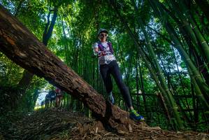 BIB: 
                            <button type="button" onclick="openModal(18998089)" class="btn btn-primary btn-sm float-right btn-popup" data-toggle="modal" data-target=".modal-high-quality">
                        <i class="fas fa-shopping-cart"></i> Add to Cart
                    </button>
                                            <button type="button" onclick="isThisMe(18998089, true)" class="btn btn-success btn-sm float-right btn-popup btn-isme hidden" data-toggle="tooltip" data-placement="bottom" title="นี่คือรูปของคุณใช่ไหม คลิกที่นี่เพื่อเอาเข้าอัลบั้ม">
                        <i class="fas fa-plus"></i> Add to album
                    </button>
                    <button type="button" onclick="isThisMe(18998089, false)" class="btn btn-warning btn-sm float-right btn-popup btn-isnotme hidden">
                        <i class="fas fa-ban"></i> Remove from album
                    </button>