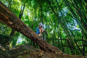 BIB: 
                            <button type="button" onclick="openModal(19060919)" class="btn btn-primary btn-sm float-right btn-popup" data-toggle="modal" data-target=".modal-high-quality">
                        <i class="fas fa-shopping-cart"></i> Add to Cart
                    </button>
                                            <button type="button" onclick="isThisMe(19060919, true)" class="btn btn-success btn-sm float-right btn-popup btn-isme hidden" data-toggle="tooltip" data-placement="bottom" title="นี่คือรูปของคุณใช่ไหม คลิกที่นี่เพื่อเอาเข้าอัลบั้ม">
                        <i class="fas fa-plus"></i> Add to album
                    </button>
                    <button type="button" onclick="isThisMe(19060919, false)" class="btn btn-warning btn-sm float-right btn-popup btn-isnotme hidden">
                        <i class="fas fa-ban"></i> Remove from album
                    </button>