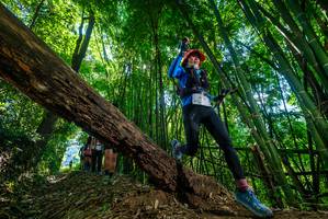 BIB: 
                            <button type="button" onclick="openModal(19064739)" class="btn btn-primary btn-sm float-right btn-popup" data-toggle="modal" data-target=".modal-high-quality">
                        <i class="fas fa-shopping-cart"></i> Add to Cart
                    </button>
                                            <button type="button" onclick="isThisMe(19064739, true)" class="btn btn-success btn-sm float-right btn-popup btn-isme hidden" data-toggle="tooltip" data-placement="bottom" title="นี่คือรูปของคุณใช่ไหม คลิกที่นี่เพื่อเอาเข้าอัลบั้ม">
                        <i class="fas fa-plus"></i> Add to album
                    </button>
                    <button type="button" onclick="isThisMe(19064739, false)" class="btn btn-warning btn-sm float-right btn-popup btn-isnotme hidden">
                        <i class="fas fa-ban"></i> Remove from album
                    </button>