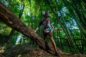 BIB: 
                            <button type="button" onclick="openModal(18997613)" class="btn btn-primary btn-sm float-right btn-popup" data-toggle="modal" data-target=".modal-high-quality">
                        <i class="fas fa-shopping-cart"></i> Add to Cart
                    </button>
                                            <button type="button" onclick="isThisMe(18997613, true)" class="btn btn-success btn-sm float-right btn-popup btn-isme hidden" data-toggle="tooltip" data-placement="bottom" title="นี่คือรูปของคุณใช่ไหม คลิกที่นี่เพื่อเอาเข้าอัลบั้ม">
                        <i class="fas fa-plus"></i> Add to album
                    </button>
                    <button type="button" onclick="isThisMe(18997613, false)" class="btn btn-warning btn-sm float-right btn-popup btn-isnotme hidden">
                        <i class="fas fa-ban"></i> Remove from album
                    </button>