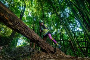 BIB: 
                            <button type="button" onclick="openModal(18995559)" class="btn btn-primary btn-sm float-right btn-popup" data-toggle="modal" data-target=".modal-high-quality">
                        <i class="fas fa-shopping-cart"></i> Add to Cart
                    </button>
                                            <button type="button" onclick="isThisMe(18995559, true)" class="btn btn-success btn-sm float-right btn-popup btn-isme hidden" data-toggle="tooltip" data-placement="bottom" title="นี่คือรูปของคุณใช่ไหม คลิกที่นี่เพื่อเอาเข้าอัลบั้ม">
                        <i class="fas fa-plus"></i> Add to album
                    </button>
                    <button type="button" onclick="isThisMe(18995559, false)" class="btn btn-warning btn-sm float-right btn-popup btn-isnotme hidden">
                        <i class="fas fa-ban"></i> Remove from album
                    </button>