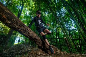 BIB: 
                            <button type="button" onclick="openModal(18995880)" class="btn btn-primary btn-sm float-right btn-popup" data-toggle="modal" data-target=".modal-high-quality">
                        <i class="fas fa-shopping-cart"></i> Add to Cart
                    </button>
                                            <button type="button" onclick="isThisMe(18995880, true)" class="btn btn-success btn-sm float-right btn-popup btn-isme hidden" data-toggle="tooltip" data-placement="bottom" title="นี่คือรูปของคุณใช่ไหม คลิกที่นี่เพื่อเอาเข้าอัลบั้ม">
                        <i class="fas fa-plus"></i> Add to album
                    </button>
                    <button type="button" onclick="isThisMe(18995880, false)" class="btn btn-warning btn-sm float-right btn-popup btn-isnotme hidden">
                        <i class="fas fa-ban"></i> Remove from album
                    </button>