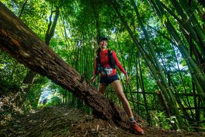 BIB: 
                            <button type="button" onclick="openModal(19065615)" class="btn btn-primary btn-sm float-right btn-popup" data-toggle="modal" data-target=".modal-high-quality">
                        <i class="fas fa-shopping-cart"></i> Add to Cart
                    </button>
                                            <button type="button" onclick="isThisMe(19065615, true)" class="btn btn-success btn-sm float-right btn-popup btn-isme hidden" data-toggle="tooltip" data-placement="bottom" title="นี่คือรูปของคุณใช่ไหม คลิกที่นี่เพื่อเอาเข้าอัลบั้ม">
                        <i class="fas fa-plus"></i> Add to album
                    </button>
                    <button type="button" onclick="isThisMe(19065615, false)" class="btn btn-warning btn-sm float-right btn-popup btn-isnotme hidden">
                        <i class="fas fa-ban"></i> Remove from album
                    </button>