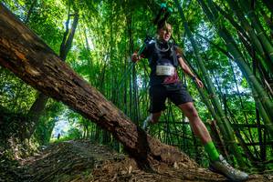 BIB: 2747
                            <button type="button" onclick="openModal(19055334)" class="btn btn-primary btn-sm float-right btn-popup" data-toggle="modal" data-target=".modal-high-quality">
                        <i class="fas fa-shopping-cart"></i> Add to Cart
                    </button>
                                            <button type="button" onclick="isThisMe(19055334, true)" class="btn btn-success btn-sm float-right btn-popup btn-isme hidden" data-toggle="tooltip" data-placement="bottom" title="นี่คือรูปของคุณใช่ไหม คลิกที่นี่เพื่อเอาเข้าอัลบั้ม">
                        <i class="fas fa-plus"></i> Add to album
                    </button>
                    <button type="button" onclick="isThisMe(19055334, false)" class="btn btn-warning btn-sm float-right btn-popup btn-isnotme hidden">
                        <i class="fas fa-ban"></i> Remove from album
                    </button>