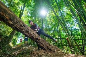 BIB: 
                            <button type="button" onclick="openModal(19071524)" class="btn btn-primary btn-sm float-right btn-popup" data-toggle="modal" data-target=".modal-high-quality">
                        <i class="fas fa-shopping-cart"></i> Add to Cart
                    </button>
                                            <button type="button" onclick="isThisMe(19071524, true)" class="btn btn-success btn-sm float-right btn-popup btn-isme hidden" data-toggle="tooltip" data-placement="bottom" title="นี่คือรูปของคุณใช่ไหม คลิกที่นี่เพื่อเอาเข้าอัลบั้ม">
                        <i class="fas fa-plus"></i> Add to album
                    </button>
                    <button type="button" onclick="isThisMe(19071524, false)" class="btn btn-warning btn-sm float-right btn-popup btn-isnotme hidden">
                        <i class="fas fa-ban"></i> Remove from album
                    </button>