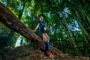 BIB: 
                            <button type="button" onclick="openModal(18993701)" class="btn btn-primary btn-sm float-right btn-popup" data-toggle="modal" data-target=".modal-high-quality">
                        <i class="fas fa-shopping-cart"></i> Add to Cart
                    </button>
                                            <button type="button" onclick="isThisMe(18993701, true)" class="btn btn-success btn-sm float-right btn-popup btn-isme hidden" data-toggle="tooltip" data-placement="bottom" title="นี่คือรูปของคุณใช่ไหม คลิกที่นี่เพื่อเอาเข้าอัลบั้ม">
                        <i class="fas fa-plus"></i> Add to album
                    </button>
                    <button type="button" onclick="isThisMe(18993701, false)" class="btn btn-warning btn-sm float-right btn-popup btn-isnotme hidden">
                        <i class="fas fa-ban"></i> Remove from album
                    </button>