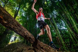 BIB: 
                            <button type="button" onclick="openModal(18987400)" class="btn btn-primary btn-sm float-right btn-popup" data-toggle="modal" data-target=".modal-high-quality">
                        <i class="fas fa-shopping-cart"></i> Add to Cart
                    </button>
                                            <button type="button" onclick="isThisMe(18987400, true)" class="btn btn-success btn-sm float-right btn-popup btn-isme hidden" data-toggle="tooltip" data-placement="bottom" title="นี่คือรูปของคุณใช่ไหม คลิกที่นี่เพื่อเอาเข้าอัลบั้ม">
                        <i class="fas fa-plus"></i> Add to album
                    </button>
                    <button type="button" onclick="isThisMe(18987400, false)" class="btn btn-warning btn-sm float-right btn-popup btn-isnotme hidden">
                        <i class="fas fa-ban"></i> Remove from album
                    </button>