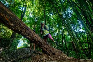 BIB: 
                            <button type="button" onclick="openModal(18995544)" class="btn btn-primary btn-sm float-right btn-popup" data-toggle="modal" data-target=".modal-high-quality">
                        <i class="fas fa-shopping-cart"></i> Add to Cart
                    </button>
                                            <button type="button" onclick="isThisMe(18995544, true)" class="btn btn-success btn-sm float-right btn-popup btn-isme hidden" data-toggle="tooltip" data-placement="bottom" title="นี่คือรูปของคุณใช่ไหม คลิกที่นี่เพื่อเอาเข้าอัลบั้ม">
                        <i class="fas fa-plus"></i> Add to album
                    </button>
                    <button type="button" onclick="isThisMe(18995544, false)" class="btn btn-warning btn-sm float-right btn-popup btn-isnotme hidden">
                        <i class="fas fa-ban"></i> Remove from album
                    </button>