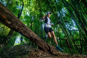 BIB: 
                            <button type="button" onclick="openModal(18993190)" class="btn btn-primary btn-sm float-right btn-popup" data-toggle="modal" data-target=".modal-high-quality">
                        <i class="fas fa-shopping-cart"></i> Add to Cart
                    </button>
                                            <button type="button" onclick="isThisMe(18993190, true)" class="btn btn-success btn-sm float-right btn-popup btn-isme hidden" data-toggle="tooltip" data-placement="bottom" title="นี่คือรูปของคุณใช่ไหม คลิกที่นี่เพื่อเอาเข้าอัลบั้ม">
                        <i class="fas fa-plus"></i> Add to album
                    </button>
                    <button type="button" onclick="isThisMe(18993190, false)" class="btn btn-warning btn-sm float-right btn-popup btn-isnotme hidden">
                        <i class="fas fa-ban"></i> Remove from album
                    </button>