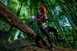 BIB: 
                            <button type="button" onclick="openModal(19056517)" class="btn btn-primary btn-sm float-right btn-popup" data-toggle="modal" data-target=".modal-high-quality">
                        <i class="fas fa-shopping-cart"></i> Add to Cart
                    </button>
                                            <button type="button" onclick="isThisMe(19056517, true)" class="btn btn-success btn-sm float-right btn-popup btn-isme hidden" data-toggle="tooltip" data-placement="bottom" title="นี่คือรูปของคุณใช่ไหม คลิกที่นี่เพื่อเอาเข้าอัลบั้ม">
                        <i class="fas fa-plus"></i> Add to album
                    </button>
                    <button type="button" onclick="isThisMe(19056517, false)" class="btn btn-warning btn-sm float-right btn-popup btn-isnotme hidden">
                        <i class="fas fa-ban"></i> Remove from album
                    </button>