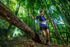 BIB: 2606
                            <button type="button" onclick="openModal(19059533)" class="btn btn-primary btn-sm float-right btn-popup" data-toggle="modal" data-target=".modal-high-quality">
                        <i class="fas fa-shopping-cart"></i> Add to Cart
                    </button>
                                            <button type="button" onclick="isThisMe(19059533, true)" class="btn btn-success btn-sm float-right btn-popup btn-isme hidden" data-toggle="tooltip" data-placement="bottom" title="นี่คือรูปของคุณใช่ไหม คลิกที่นี่เพื่อเอาเข้าอัลบั้ม">
                        <i class="fas fa-plus"></i> Add to album
                    </button>
                    <button type="button" onclick="isThisMe(19059533, false)" class="btn btn-warning btn-sm float-right btn-popup btn-isnotme hidden">
                        <i class="fas fa-ban"></i> Remove from album
                    </button>