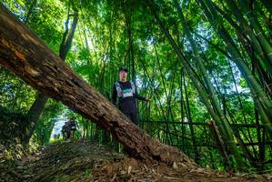 BIB: 
                            <button type="button" onclick="openModal(19056431)" class="btn btn-primary btn-sm float-right btn-popup" data-toggle="modal" data-target=".modal-high-quality">
                        <i class="fas fa-shopping-cart"></i> Add to Cart
                    </button>
                                            <button type="button" onclick="isThisMe(19056431, true)" class="btn btn-success btn-sm float-right btn-popup btn-isme hidden" data-toggle="tooltip" data-placement="bottom" title="นี่คือรูปของคุณใช่ไหม คลิกที่นี่เพื่อเอาเข้าอัลบั้ม">
                        <i class="fas fa-plus"></i> Add to album
                    </button>
                    <button type="button" onclick="isThisMe(19056431, false)" class="btn btn-warning btn-sm float-right btn-popup btn-isnotme hidden">
                        <i class="fas fa-ban"></i> Remove from album
                    </button>