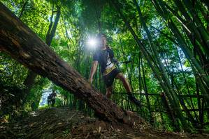 BIB: 
                            <button type="button" onclick="openModal(19064238)" class="btn btn-primary btn-sm float-right btn-popup" data-toggle="modal" data-target=".modal-high-quality">
                        <i class="fas fa-shopping-cart"></i> Add to Cart
                    </button>
                                            <button type="button" onclick="isThisMe(19064238, true)" class="btn btn-success btn-sm float-right btn-popup btn-isme hidden" data-toggle="tooltip" data-placement="bottom" title="นี่คือรูปของคุณใช่ไหม คลิกที่นี่เพื่อเอาเข้าอัลบั้ม">
                        <i class="fas fa-plus"></i> Add to album
                    </button>
                    <button type="button" onclick="isThisMe(19064238, false)" class="btn btn-warning btn-sm float-right btn-popup btn-isnotme hidden">
                        <i class="fas fa-ban"></i> Remove from album
                    </button>