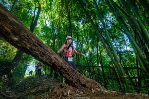 BIB: 
                            <button type="button" onclick="openModal(18994027)" class="btn btn-primary btn-sm float-right btn-popup" data-toggle="modal" data-target=".modal-high-quality">
                        <i class="fas fa-shopping-cart"></i> Add to Cart
                    </button>
                                            <button type="button" onclick="isThisMe(18994027, true)" class="btn btn-success btn-sm float-right btn-popup btn-isme hidden" data-toggle="tooltip" data-placement="bottom" title="นี่คือรูปของคุณใช่ไหม คลิกที่นี่เพื่อเอาเข้าอัลบั้ม">
                        <i class="fas fa-plus"></i> Add to album
                    </button>
                    <button type="button" onclick="isThisMe(18994027, false)" class="btn btn-warning btn-sm float-right btn-popup btn-isnotme hidden">
                        <i class="fas fa-ban"></i> Remove from album
                    </button>