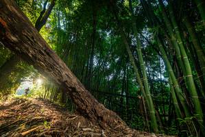 BIB: 
                            <button type="button" onclick="openModal(18986065)" class="btn btn-primary btn-sm float-right btn-popup" data-toggle="modal" data-target=".modal-high-quality">
                        <i class="fas fa-shopping-cart"></i> Add to Cart
                    </button>
                                            <button type="button" onclick="isThisMe(18986065, true)" class="btn btn-success btn-sm float-right btn-popup btn-isme hidden" data-toggle="tooltip" data-placement="bottom" title="นี่คือรูปของคุณใช่ไหม คลิกที่นี่เพื่อเอาเข้าอัลบั้ม">
                        <i class="fas fa-plus"></i> Add to album
                    </button>
                    <button type="button" onclick="isThisMe(18986065, false)" class="btn btn-warning btn-sm float-right btn-popup btn-isnotme hidden">
                        <i class="fas fa-ban"></i> Remove from album
                    </button>