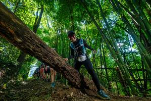 BIB: 
                            <button type="button" onclick="openModal(19064528)" class="btn btn-primary btn-sm float-right btn-popup" data-toggle="modal" data-target=".modal-high-quality">
                        <i class="fas fa-shopping-cart"></i> Add to Cart
                    </button>
                                            <button type="button" onclick="isThisMe(19064528, true)" class="btn btn-success btn-sm float-right btn-popup btn-isme hidden" data-toggle="tooltip" data-placement="bottom" title="นี่คือรูปของคุณใช่ไหม คลิกที่นี่เพื่อเอาเข้าอัลบั้ม">
                        <i class="fas fa-plus"></i> Add to album
                    </button>
                    <button type="button" onclick="isThisMe(19064528, false)" class="btn btn-warning btn-sm float-right btn-popup btn-isnotme hidden">
                        <i class="fas fa-ban"></i> Remove from album
                    </button>