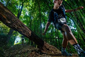 BIB: 
                            <button type="button" onclick="openModal(18991481)" class="btn btn-primary btn-sm float-right btn-popup" data-toggle="modal" data-target=".modal-high-quality">
                        <i class="fas fa-shopping-cart"></i> Add to Cart
                    </button>
                                            <button type="button" onclick="isThisMe(18991481, true)" class="btn btn-success btn-sm float-right btn-popup btn-isme hidden" data-toggle="tooltip" data-placement="bottom" title="นี่คือรูปของคุณใช่ไหม คลิกที่นี่เพื่อเอาเข้าอัลบั้ม">
                        <i class="fas fa-plus"></i> Add to album
                    </button>
                    <button type="button" onclick="isThisMe(18991481, false)" class="btn btn-warning btn-sm float-right btn-popup btn-isnotme hidden">
                        <i class="fas fa-ban"></i> Remove from album
                    </button>