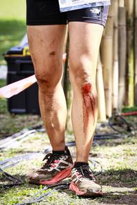 BIB: 
                            <button type="button" onclick="openModal(18965783)" class="btn btn-primary btn-sm float-right btn-popup" data-toggle="modal" data-target=".modal-high-quality">
                        <i class="fas fa-shopping-cart"></i> Add to Cart
                    </button>
                                            <button type="button" onclick="isThisMe(18965783, true)" class="btn btn-success btn-sm float-right btn-popup btn-isme hidden" data-toggle="tooltip" data-placement="bottom" title="นี่คือรูปของคุณใช่ไหม คลิกที่นี่เพื่อเอาเข้าอัลบั้ม">
                        <i class="fas fa-plus"></i> Add to album
                    </button>
                    <button type="button" onclick="isThisMe(18965783, false)" class="btn btn-warning btn-sm float-right btn-popup btn-isnotme hidden">
                        <i class="fas fa-ban"></i> Remove from album
                    </button>