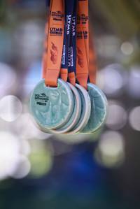 BIB: 
                            <button type="button" onclick="openModal(18961341)" class="btn btn-primary btn-sm float-right btn-popup" data-toggle="modal" data-target=".modal-high-quality">
                        <i class="fas fa-shopping-cart"></i> Add to Cart
                    </button>
                                            <button type="button" onclick="isThisMe(18961341, true)" class="btn btn-success btn-sm float-right btn-popup btn-isme hidden" data-toggle="tooltip" data-placement="bottom" title="นี่คือรูปของคุณใช่ไหม คลิกที่นี่เพื่อเอาเข้าอัลบั้ม">
                        <i class="fas fa-plus"></i> Add to album
                    </button>
                    <button type="button" onclick="isThisMe(18961341, false)" class="btn btn-warning btn-sm float-right btn-popup btn-isnotme hidden">
                        <i class="fas fa-ban"></i> Remove from album
                    </button>