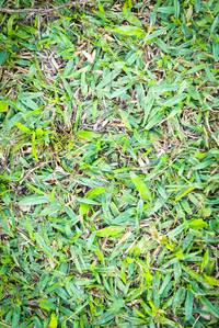 BIB: 
                            <button type="button" onclick="openModal(18966485)" class="btn btn-primary btn-sm float-right btn-popup" data-toggle="modal" data-target=".modal-high-quality">
                        <i class="fas fa-shopping-cart"></i> Add to Cart
                    </button>
                                            <button type="button" onclick="isThisMe(18966485, true)" class="btn btn-success btn-sm float-right btn-popup btn-isme hidden" data-toggle="tooltip" data-placement="bottom" title="นี่คือรูปของคุณใช่ไหม คลิกที่นี่เพื่อเอาเข้าอัลบั้ม">
                        <i class="fas fa-plus"></i> Add to album
                    </button>
                    <button type="button" onclick="isThisMe(18966485, false)" class="btn btn-warning btn-sm float-right btn-popup btn-isnotme hidden">
                        <i class="fas fa-ban"></i> Remove from album
                    </button>