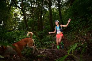 BIB: 
                            <button type="button" onclick="openModal(18951223)" class="btn btn-primary btn-sm float-right btn-popup" data-toggle="modal" data-target=".modal-high-quality">
                        <i class="fas fa-shopping-cart"></i> Add to Cart
                    </button>
                                            <button type="button" onclick="isThisMe(18951223, true)" class="btn btn-success btn-sm float-right btn-popup btn-isme hidden" data-toggle="tooltip" data-placement="bottom" title="นี่คือรูปของคุณใช่ไหม คลิกที่นี่เพื่อเอาเข้าอัลบั้ม">
                        <i class="fas fa-plus"></i> Add to album
                    </button>
                    <button type="button" onclick="isThisMe(18951223, false)" class="btn btn-warning btn-sm float-right btn-popup btn-isnotme hidden">
                        <i class="fas fa-ban"></i> Remove from album
                    </button>