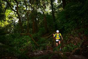 BIB: 
                            <button type="button" onclick="openModal(18948798)" class="btn btn-primary btn-sm float-right btn-popup" data-toggle="modal" data-target=".modal-high-quality">
                        <i class="fas fa-shopping-cart"></i> Add to Cart
                    </button>
                                            <button type="button" onclick="isThisMe(18948798, true)" class="btn btn-success btn-sm float-right btn-popup btn-isme hidden" data-toggle="tooltip" data-placement="bottom" title="นี่คือรูปของคุณใช่ไหม คลิกที่นี่เพื่อเอาเข้าอัลบั้ม">
                        <i class="fas fa-plus"></i> Add to album
                    </button>
                    <button type="button" onclick="isThisMe(18948798, false)" class="btn btn-warning btn-sm float-right btn-popup btn-isnotme hidden">
                        <i class="fas fa-ban"></i> Remove from album
                    </button>