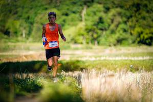 BIB: 1003, 
                            <button type="button" onclick="openModal(19014512)" class="btn btn-primary btn-sm float-right btn-popup" data-toggle="modal" data-target=".modal-high-quality">
                        <i class="fas fa-shopping-cart"></i> Add to Cart
                    </button>
                                            <button type="button" onclick="isThisMe(19014512, true)" class="btn btn-success btn-sm float-right btn-popup btn-isme hidden" data-toggle="tooltip" data-placement="bottom" title="นี่คือรูปของคุณใช่ไหม คลิกที่นี่เพื่อเอาเข้าอัลบั้ม">
                        <i class="fas fa-plus"></i> Add to album
                    </button>
                    <button type="button" onclick="isThisMe(19014512, false)" class="btn btn-warning btn-sm float-right btn-popup btn-isnotme hidden">
                        <i class="fas fa-ban"></i> Remove from album
                    </button>