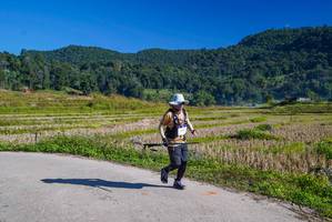 BIB: 
                            <button type="button" onclick="openModal(18978042)" class="btn btn-primary btn-sm float-right btn-popup" data-toggle="modal" data-target=".modal-high-quality">
                        <i class="fas fa-shopping-cart"></i> Add to Cart
                    </button>
                                            <button type="button" onclick="isThisMe(18978042, true)" class="btn btn-success btn-sm float-right btn-popup btn-isme hidden" data-toggle="tooltip" data-placement="bottom" title="นี่คือรูปของคุณใช่ไหม คลิกที่นี่เพื่อเอาเข้าอัลบั้ม">
                        <i class="fas fa-plus"></i> Add to album
                    </button>
                    <button type="button" onclick="isThisMe(18978042, false)" class="btn btn-warning btn-sm float-right btn-popup btn-isnotme hidden">
                        <i class="fas fa-ban"></i> Remove from album
                    </button>