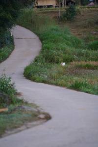 BIB: 
                            <button type="button" onclick="openModal(18980558)" class="btn btn-primary btn-sm float-right btn-popup" data-toggle="modal" data-target=".modal-high-quality">
                        <i class="fas fa-shopping-cart"></i> Add to Cart
                    </button>
                                            <button type="button" onclick="isThisMe(18980558, true)" class="btn btn-success btn-sm float-right btn-popup btn-isme hidden" data-toggle="tooltip" data-placement="bottom" title="นี่คือรูปของคุณใช่ไหม คลิกที่นี่เพื่อเอาเข้าอัลบั้ม">
                        <i class="fas fa-plus"></i> Add to album
                    </button>
                    <button type="button" onclick="isThisMe(18980558, false)" class="btn btn-warning btn-sm float-right btn-popup btn-isnotme hidden">
                        <i class="fas fa-ban"></i> Remove from album
                    </button>