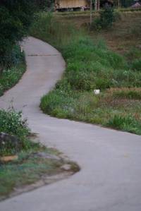 BIB: 
                            <button type="button" onclick="openModal(18980563)" class="btn btn-primary btn-sm float-right btn-popup" data-toggle="modal" data-target=".modal-high-quality">
                        <i class="fas fa-shopping-cart"></i> Add to Cart
                    </button>
                                            <button type="button" onclick="isThisMe(18980563, true)" class="btn btn-success btn-sm float-right btn-popup btn-isme hidden" data-toggle="tooltip" data-placement="bottom" title="นี่คือรูปของคุณใช่ไหม คลิกที่นี่เพื่อเอาเข้าอัลบั้ม">
                        <i class="fas fa-plus"></i> Add to album
                    </button>
                    <button type="button" onclick="isThisMe(18980563, false)" class="btn btn-warning btn-sm float-right btn-popup btn-isnotme hidden">
                        <i class="fas fa-ban"></i> Remove from album
                    </button>