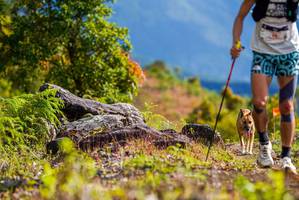 BIB: 79705
                            <button type="button" onclick="openModal(18947594)" class="btn btn-primary btn-sm float-right btn-popup" data-toggle="modal" data-target=".modal-high-quality">
                        <i class="fas fa-shopping-cart"></i> Add to Cart
                    </button>
                                            <button type="button" onclick="isThisMe(18947594, true)" class="btn btn-success btn-sm float-right btn-popup btn-isme hidden" data-toggle="tooltip" data-placement="bottom" title="นี่คือรูปของคุณใช่ไหม คลิกที่นี่เพื่อเอาเข้าอัลบั้ม">
                        <i class="fas fa-plus"></i> Add to album
                    </button>
                    <button type="button" onclick="isThisMe(18947594, false)" class="btn btn-warning btn-sm float-right btn-popup btn-isnotme hidden">
                        <i class="fas fa-ban"></i> Remove from album
                    </button>