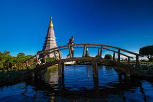 BIB: 
                            <button type="button" onclick="openModal(18956317)" class="btn btn-primary btn-sm float-right btn-popup" data-toggle="modal" data-target=".modal-high-quality">
                        <i class="fas fa-shopping-cart"></i> Add to Cart
                    </button>
                                            <button type="button" onclick="isThisMe(18956317, true)" class="btn btn-success btn-sm float-right btn-popup btn-isme hidden" data-toggle="tooltip" data-placement="bottom" title="นี่คือรูปของคุณใช่ไหม คลิกที่นี่เพื่อเอาเข้าอัลบั้ม">
                        <i class="fas fa-plus"></i> Add to album
                    </button>
                    <button type="button" onclick="isThisMe(18956317, false)" class="btn btn-warning btn-sm float-right btn-popup btn-isnotme hidden">
                        <i class="fas fa-ban"></i> Remove from album
                    </button>