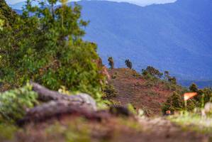 BIB: 
                            <button type="button" onclick="openModal(18949380)" class="btn btn-primary btn-sm float-right btn-popup" data-toggle="modal" data-target=".modal-high-quality">
                        <i class="fas fa-shopping-cart"></i> Add to Cart
                    </button>
                                            <button type="button" onclick="isThisMe(18949380, true)" class="btn btn-success btn-sm float-right btn-popup btn-isme hidden" data-toggle="tooltip" data-placement="bottom" title="นี่คือรูปของคุณใช่ไหม คลิกที่นี่เพื่อเอาเข้าอัลบั้ม">
                        <i class="fas fa-plus"></i> Add to album
                    </button>
                    <button type="button" onclick="isThisMe(18949380, false)" class="btn btn-warning btn-sm float-right btn-popup btn-isnotme hidden">
                        <i class="fas fa-ban"></i> Remove from album
                    </button>