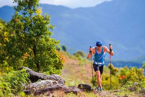 BIB: 
                            <button type="button" onclick="openModal(18947334)" class="btn btn-primary btn-sm float-right btn-popup" data-toggle="modal" data-target=".modal-high-quality">
                        <i class="fas fa-shopping-cart"></i> Add to Cart
                    </button>
                                            <button type="button" onclick="isThisMe(18947334, true)" class="btn btn-success btn-sm float-right btn-popup btn-isme hidden" data-toggle="tooltip" data-placement="bottom" title="นี่คือรูปของคุณใช่ไหม คลิกที่นี่เพื่อเอาเข้าอัลบั้ม">
                        <i class="fas fa-plus"></i> Add to album
                    </button>
                    <button type="button" onclick="isThisMe(18947334, false)" class="btn btn-warning btn-sm float-right btn-popup btn-isnotme hidden">
                        <i class="fas fa-ban"></i> Remove from album
                    </button>