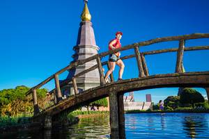 BIB: 
                            <button type="button" onclick="openModal(18956034)" class="btn btn-primary btn-sm float-right btn-popup" data-toggle="modal" data-target=".modal-high-quality">
                        <i class="fas fa-shopping-cart"></i> Add to Cart
                    </button>
                                            <button type="button" onclick="isThisMe(18956034, true)" class="btn btn-success btn-sm float-right btn-popup btn-isme hidden" data-toggle="tooltip" data-placement="bottom" title="นี่คือรูปของคุณใช่ไหม คลิกที่นี่เพื่อเอาเข้าอัลบั้ม">
                        <i class="fas fa-plus"></i> Add to album
                    </button>
                    <button type="button" onclick="isThisMe(18956034, false)" class="btn btn-warning btn-sm float-right btn-popup btn-isnotme hidden">
                        <i class="fas fa-ban"></i> Remove from album
                    </button>