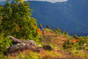 BIB: 
                            <button type="button" onclick="openModal(18948115)" class="btn btn-primary btn-sm float-right btn-popup" data-toggle="modal" data-target=".modal-high-quality">
                        <i class="fas fa-shopping-cart"></i> Add to Cart
                    </button>
                                            <button type="button" onclick="isThisMe(18948115, true)" class="btn btn-success btn-sm float-right btn-popup btn-isme hidden" data-toggle="tooltip" data-placement="bottom" title="นี่คือรูปของคุณใช่ไหม คลิกที่นี่เพื่อเอาเข้าอัลบั้ม">
                        <i class="fas fa-plus"></i> Add to album
                    </button>
                    <button type="button" onclick="isThisMe(18948115, false)" class="btn btn-warning btn-sm float-right btn-popup btn-isnotme hidden">
                        <i class="fas fa-ban"></i> Remove from album
                    </button>