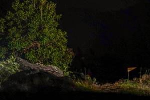 BIB: 
                            <button type="button" onclick="openModal(18949849)" class="btn btn-primary btn-sm float-right btn-popup" data-toggle="modal" data-target=".modal-high-quality">
                        <i class="fas fa-shopping-cart"></i> Add to Cart
                    </button>
                                            <button type="button" onclick="isThisMe(18949849, true)" class="btn btn-success btn-sm float-right btn-popup btn-isme hidden" data-toggle="tooltip" data-placement="bottom" title="นี่คือรูปของคุณใช่ไหม คลิกที่นี่เพื่อเอาเข้าอัลบั้ม">
                        <i class="fas fa-plus"></i> Add to album
                    </button>
                    <button type="button" onclick="isThisMe(18949849, false)" class="btn btn-warning btn-sm float-right btn-popup btn-isnotme hidden">
                        <i class="fas fa-ban"></i> Remove from album
                    </button>