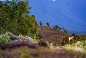 BIB: 
                            <button type="button" onclick="openModal(18949404)" class="btn btn-primary btn-sm float-right btn-popup" data-toggle="modal" data-target=".modal-high-quality">
                        <i class="fas fa-shopping-cart"></i> Add to Cart
                    </button>
                                            <button type="button" onclick="isThisMe(18949404, true)" class="btn btn-success btn-sm float-right btn-popup btn-isme hidden" data-toggle="tooltip" data-placement="bottom" title="นี่คือรูปของคุณใช่ไหม คลิกที่นี่เพื่อเอาเข้าอัลบั้ม">
                        <i class="fas fa-plus"></i> Add to album
                    </button>
                    <button type="button" onclick="isThisMe(18949404, false)" class="btn btn-warning btn-sm float-right btn-popup btn-isnotme hidden">
                        <i class="fas fa-ban"></i> Remove from album
                    </button>