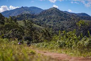 BIB: 
                            <button type="button" onclick="openModal(18952205)" class="btn btn-primary btn-sm float-right btn-popup" data-toggle="modal" data-target=".modal-high-quality">
                        <i class="fas fa-shopping-cart"></i> Add to Cart
                    </button>
                                            <button type="button" onclick="isThisMe(18952205, true)" class="btn btn-success btn-sm float-right btn-popup btn-isme hidden" data-toggle="tooltip" data-placement="bottom" title="นี่คือรูปของคุณใช่ไหม คลิกที่นี่เพื่อเอาเข้าอัลบั้ม">
                        <i class="fas fa-plus"></i> Add to album
                    </button>
                    <button type="button" onclick="isThisMe(18952205, false)" class="btn btn-warning btn-sm float-right btn-popup btn-isnotme hidden">
                        <i class="fas fa-ban"></i> Remove from album
                    </button>