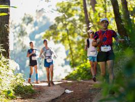 BIB: 2865
                            <button type="button" onclick="openModal(19247201)" class="btn btn-primary btn-sm float-right btn-popup" data-toggle="modal" data-target=".modal-high-quality">
                        <i class="fas fa-shopping-cart"></i> Add to Cart
                    </button>
                                            <button type="button" onclick="isThisMe(19247201, true)" class="btn btn-success btn-sm float-right btn-popup btn-isme hidden" data-toggle="tooltip" data-placement="bottom" title="นี่คือรูปของคุณใช่ไหม คลิกที่นี่เพื่อเอาเข้าอัลบั้ม">
                        <i class="fas fa-plus"></i> Add to album
                    </button>
                    <button type="button" onclick="isThisMe(19247201, false)" class="btn btn-warning btn-sm float-right btn-popup btn-isnotme hidden">
                        <i class="fas fa-ban"></i> Remove from album
                    </button>