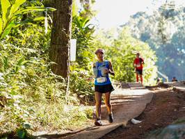 BIB: 3381
                            <button type="button" onclick="openModal(19248877)" class="btn btn-primary btn-sm float-right btn-popup" data-toggle="modal" data-target=".modal-high-quality">
                        <i class="fas fa-shopping-cart"></i> Add to Cart
                    </button>
                                            <button type="button" onclick="isThisMe(19248877, true)" class="btn btn-success btn-sm float-right btn-popup btn-isme hidden" data-toggle="tooltip" data-placement="bottom" title="นี่คือรูปของคุณใช่ไหม คลิกที่นี่เพื่อเอาเข้าอัลบั้ม">
                        <i class="fas fa-plus"></i> Add to album
                    </button>
                    <button type="button" onclick="isThisMe(19248877, false)" class="btn btn-warning btn-sm float-right btn-popup btn-isnotme hidden">
                        <i class="fas fa-ban"></i> Remove from album
                    </button>