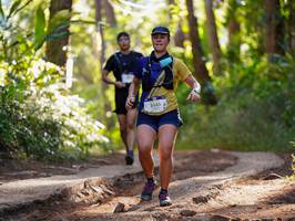 BIB: 3345
                            <button type="button" onclick="openModal(19251336)" class="btn btn-primary btn-sm float-right btn-popup" data-toggle="modal" data-target=".modal-high-quality">
                        <i class="fas fa-shopping-cart"></i> Add to Cart
                    </button>
                                            <button type="button" onclick="isThisMe(19251336, true)" class="btn btn-success btn-sm float-right btn-popup btn-isme hidden" data-toggle="tooltip" data-placement="bottom" title="นี่คือรูปของคุณใช่ไหม คลิกที่นี่เพื่อเอาเข้าอัลบั้ม">
                        <i class="fas fa-plus"></i> Add to album
                    </button>
                    <button type="button" onclick="isThisMe(19251336, false)" class="btn btn-warning btn-sm float-right btn-popup btn-isnotme hidden">
                        <i class="fas fa-ban"></i> Remove from album
                    </button>