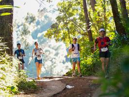 BIB: 2464
                            <button type="button" onclick="openModal(19247142)" class="btn btn-primary btn-sm float-right btn-popup" data-toggle="modal" data-target=".modal-high-quality">
                        <i class="fas fa-shopping-cart"></i> Add to Cart
                    </button>
                                            <button type="button" onclick="isThisMe(19247142, true)" class="btn btn-success btn-sm float-right btn-popup btn-isme hidden" data-toggle="tooltip" data-placement="bottom" title="นี่คือรูปของคุณใช่ไหม คลิกที่นี่เพื่อเอาเข้าอัลบั้ม">
                        <i class="fas fa-plus"></i> Add to album
                    </button>
                    <button type="button" onclick="isThisMe(19247142, false)" class="btn btn-warning btn-sm float-right btn-popup btn-isnotme hidden">
                        <i class="fas fa-ban"></i> Remove from album
                    </button>