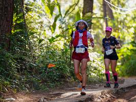 BIB: 2173
                            <button type="button" onclick="openModal(19251242)" class="btn btn-primary btn-sm float-right btn-popup" data-toggle="modal" data-target=".modal-high-quality">
                        <i class="fas fa-shopping-cart"></i> Add to Cart
                    </button>
                                            <button type="button" onclick="isThisMe(19251242, true)" class="btn btn-success btn-sm float-right btn-popup btn-isme hidden" data-toggle="tooltip" data-placement="bottom" title="นี่คือรูปของคุณใช่ไหม คลิกที่นี่เพื่อเอาเข้าอัลบั้ม">
                        <i class="fas fa-plus"></i> Add to album
                    </button>
                    <button type="button" onclick="isThisMe(19251242, false)" class="btn btn-warning btn-sm float-right btn-popup btn-isnotme hidden">
                        <i class="fas fa-ban"></i> Remove from album
                    </button>