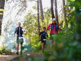 BIB: 
                            <button type="button" onclick="openModal(19246976)" class="btn btn-primary btn-sm float-right btn-popup" data-toggle="modal" data-target=".modal-high-quality">
                        <i class="fas fa-shopping-cart"></i> Add to Cart
                    </button>
                                            <button type="button" onclick="isThisMe(19246976, true)" class="btn btn-success btn-sm float-right btn-popup btn-isme hidden" data-toggle="tooltip" data-placement="bottom" title="นี่คือรูปของคุณใช่ไหม คลิกที่นี่เพื่อเอาเข้าอัลบั้ม">
                        <i class="fas fa-plus"></i> Add to album
                    </button>
                    <button type="button" onclick="isThisMe(19246976, false)" class="btn btn-warning btn-sm float-right btn-popup btn-isnotme hidden">
                        <i class="fas fa-ban"></i> Remove from album
                    </button>