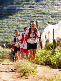 BIB: 1471, 
                            <button type="button" onclick="openModal(19271745)" class="btn btn-primary btn-sm float-right btn-popup" data-toggle="modal" data-target=".modal-high-quality">
                        <i class="fas fa-shopping-cart"></i> Add to Cart
                    </button>
                                            <button type="button" onclick="isThisMe(19271745, true)" class="btn btn-success btn-sm float-right btn-popup btn-isme hidden" data-toggle="tooltip" data-placement="bottom" title="นี่คือรูปของคุณใช่ไหม คลิกที่นี่เพื่อเอาเข้าอัลบั้ม">
                        <i class="fas fa-plus"></i> Add to album
                    </button>
                    <button type="button" onclick="isThisMe(19271745, false)" class="btn btn-warning btn-sm float-right btn-popup btn-isnotme hidden">
                        <i class="fas fa-ban"></i> Remove from album
                    </button>