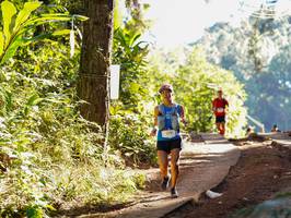 BIB: 3301
                            <button type="button" onclick="openModal(19248869)" class="btn btn-primary btn-sm float-right btn-popup" data-toggle="modal" data-target=".modal-high-quality">
                        <i class="fas fa-shopping-cart"></i> Add to Cart
                    </button>
                                            <button type="button" onclick="isThisMe(19248869, true)" class="btn btn-success btn-sm float-right btn-popup btn-isme hidden" data-toggle="tooltip" data-placement="bottom" title="นี่คือรูปของคุณใช่ไหม คลิกที่นี่เพื่อเอาเข้าอัลบั้ม">
                        <i class="fas fa-plus"></i> Add to album
                    </button>
                    <button type="button" onclick="isThisMe(19248869, false)" class="btn btn-warning btn-sm float-right btn-popup btn-isnotme hidden">
                        <i class="fas fa-ban"></i> Remove from album
                    </button>