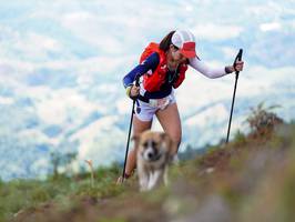 BIB: 5137
                            <button type="button" onclick="openModal(19291656)" class="btn btn-primary btn-sm float-right btn-popup" data-toggle="modal" data-target=".modal-high-quality">
                        <i class="fas fa-shopping-cart"></i> Add to Cart
                    </button>
                                            <button type="button" onclick="isThisMe(19291656, true)" class="btn btn-success btn-sm float-right btn-popup btn-isme hidden" data-toggle="tooltip" data-placement="bottom" title="นี่คือรูปของคุณใช่ไหม คลิกที่นี่เพื่อเอาเข้าอัลบั้ม">
                        <i class="fas fa-plus"></i> Add to album
                    </button>
                    <button type="button" onclick="isThisMe(19291656, false)" class="btn btn-warning btn-sm float-right btn-popup btn-isnotme hidden">
                        <i class="fas fa-ban"></i> Remove from album
                    </button>