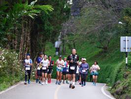 BIB: 
                            <button type="button" onclick="openModal(19232052)" class="btn btn-primary btn-sm float-right btn-popup" data-toggle="modal" data-target=".modal-high-quality">
                        <i class="fas fa-shopping-cart"></i> Add to Cart
                    </button>
                                            <button type="button" onclick="isThisMe(19232052, true)" class="btn btn-success btn-sm float-right btn-popup btn-isme hidden" data-toggle="tooltip" data-placement="bottom" title="นี่คือรูปของคุณใช่ไหม คลิกที่นี่เพื่อเอาเข้าอัลบั้ม">
                        <i class="fas fa-plus"></i> Add to album
                    </button>
                    <button type="button" onclick="isThisMe(19232052, false)" class="btn btn-warning btn-sm float-right btn-popup btn-isnotme hidden">
                        <i class="fas fa-ban"></i> Remove from album
                    </button>