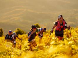 BIB: 
                            <button type="button" onclick="openModal(19304591)" class="btn btn-primary btn-sm float-right btn-popup" data-toggle="modal" data-target=".modal-high-quality">
                        <i class="fas fa-shopping-cart"></i> Add to Cart
                    </button>
                                            <button type="button" onclick="isThisMe(19304591, true)" class="btn btn-success btn-sm float-right btn-popup btn-isme hidden" data-toggle="tooltip" data-placement="bottom" title="นี่คือรูปของคุณใช่ไหม คลิกที่นี่เพื่อเอาเข้าอัลบั้ม">
                        <i class="fas fa-plus"></i> Add to album
                    </button>
                    <button type="button" onclick="isThisMe(19304591, false)" class="btn btn-warning btn-sm float-right btn-popup btn-isnotme hidden">
                        <i class="fas fa-ban"></i> Remove from album
                    </button>